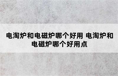 电淘炉和电磁炉哪个好用 电淘炉和电磁炉哪个好用点